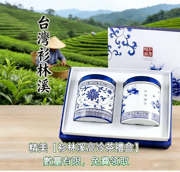 台灣杉林溪高冷茶